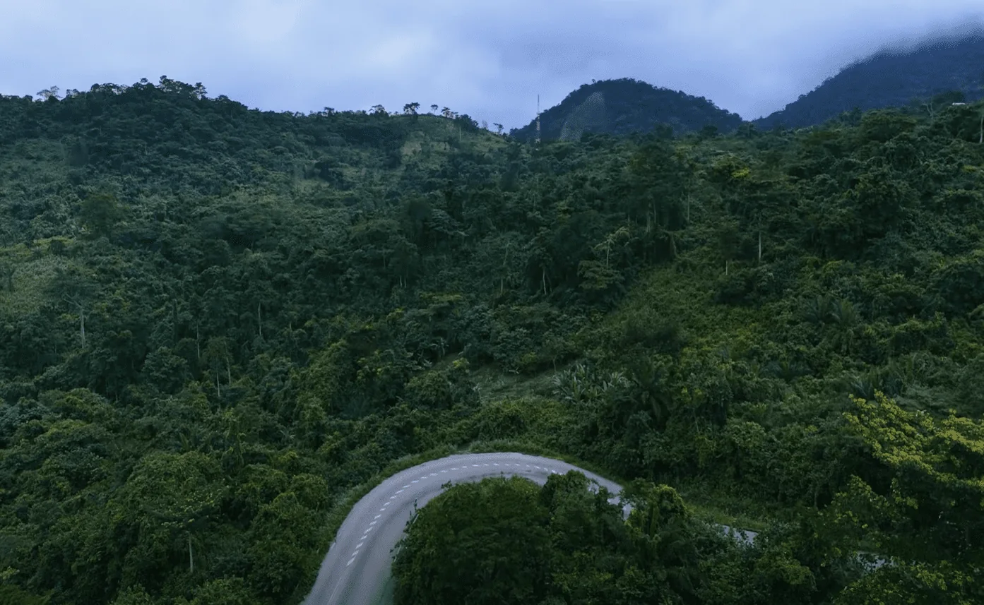 Forested mountain valley with a curved road in the foreground